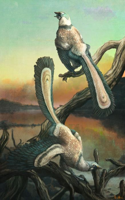 A reconstruction of two Archaeopteryx, one sitting on a branch, the other on the floor. A reconstruction of two Archaeopteryx, one sitting on a branch, the other on the floor.